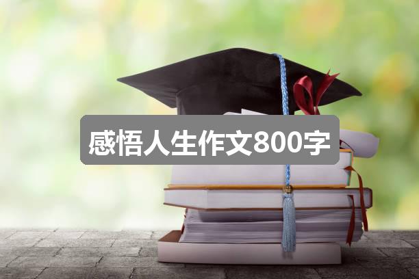 作文2024香港历史开奖结果:感悟人生作文800字(六篇)
